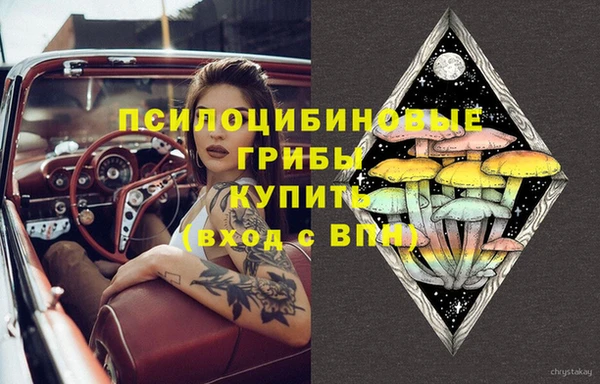 Альфа ПВП Алзамай