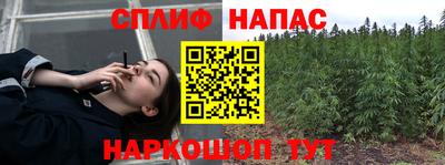 мдпв Бийск