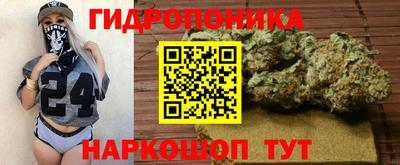 мдпв Бийск