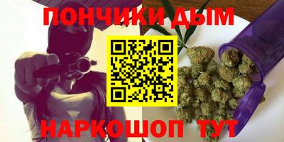 мдпв Бийск