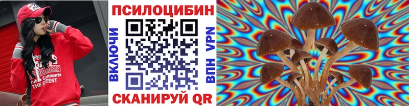 Галлюциногенные грибы Psilocybe купить наркотик Волгоград
