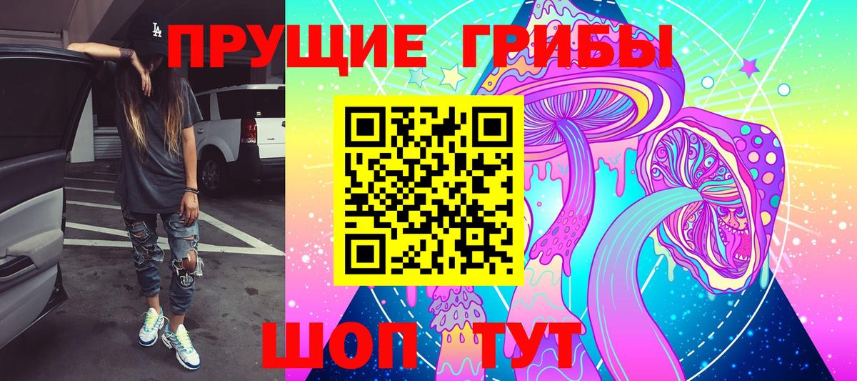 Волгоград  цены   Вход с VPN  Галлюциногенные грибы Psilocybine cubensis 